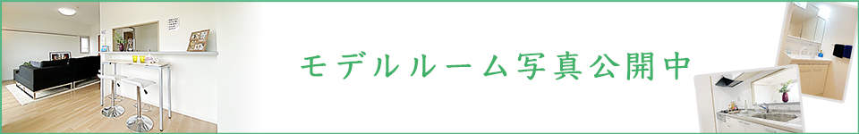 ウェルフォート幸川　モデルルーム写真公開中！