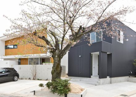 名古屋市守山区の注文住宅の以前施工させて頂いたお家とバランスよく配置、桜を中心にデザイン住宅が完成