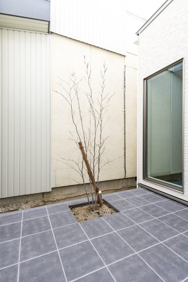名古屋市北区の注文住宅の木が植えられた中庭の新築写真